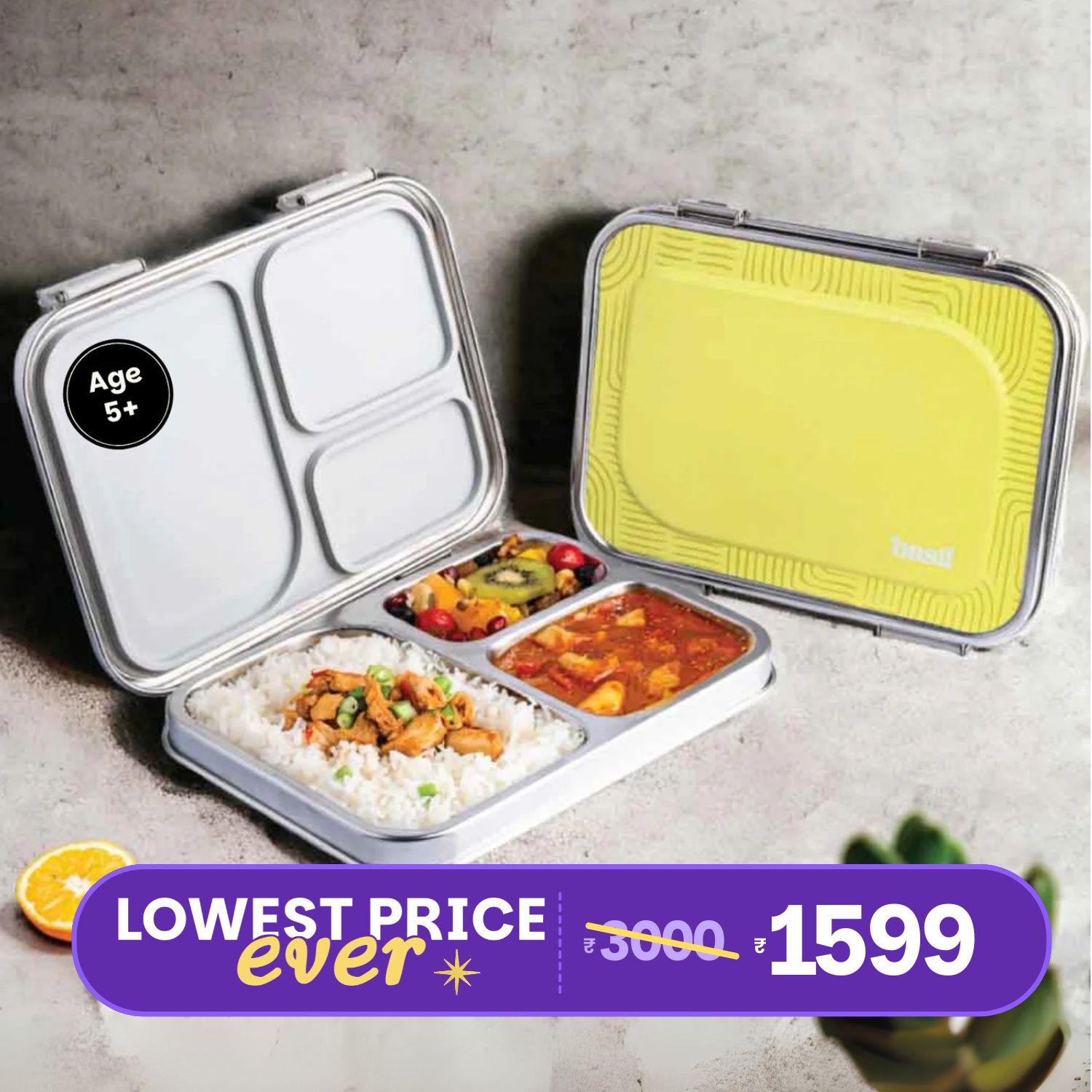 3 Compartment Stainless steel Bento box - Classic Savannah green