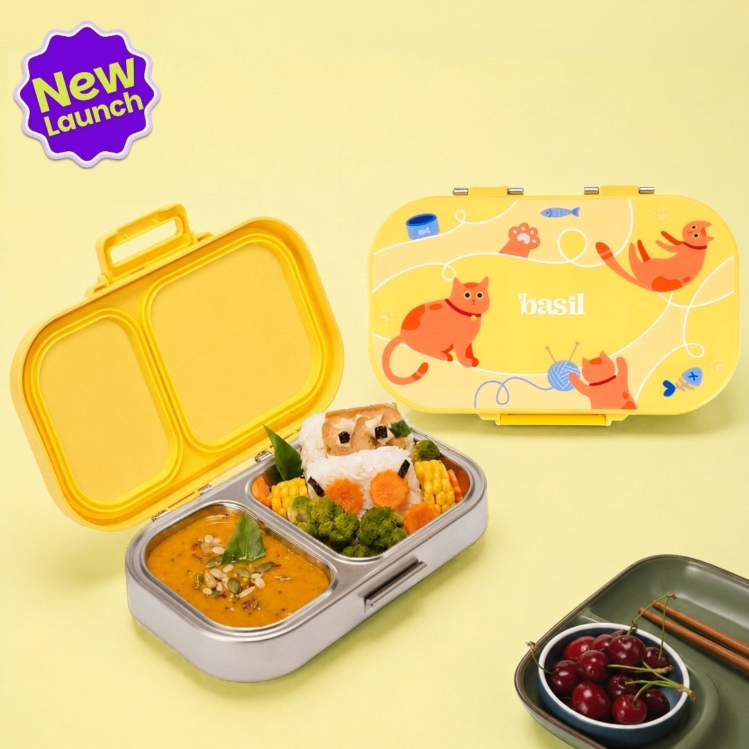 2 Compartment Stainless Steel Lunchbox with Plastic Lid - Kitty Party