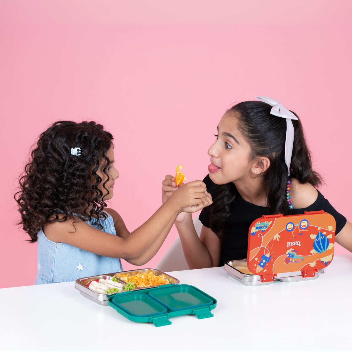 2 Compartment Stainless steel Lunchbox with Plastic Lid - Pixie Dash