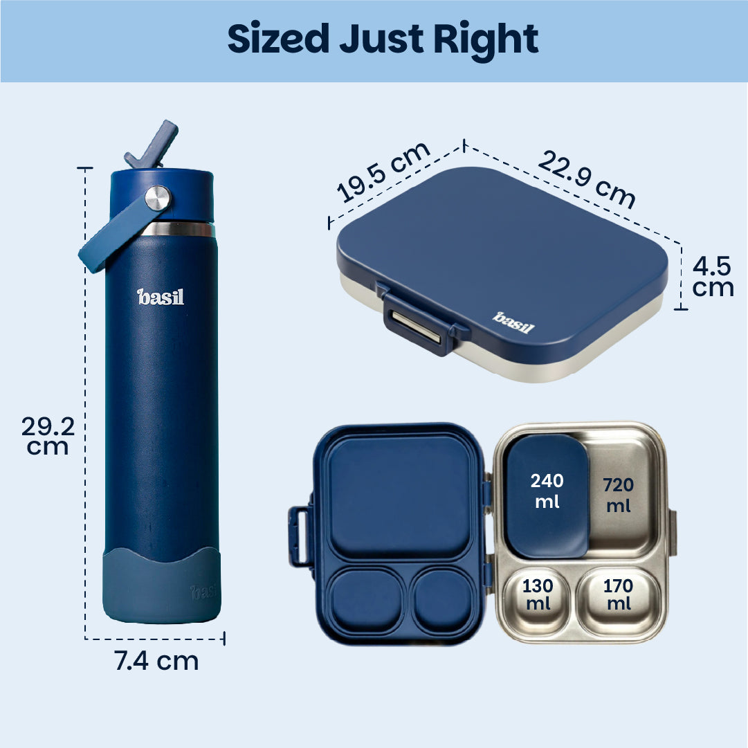 School Combo- Set of Water Bottle and Lunch Box Indigo