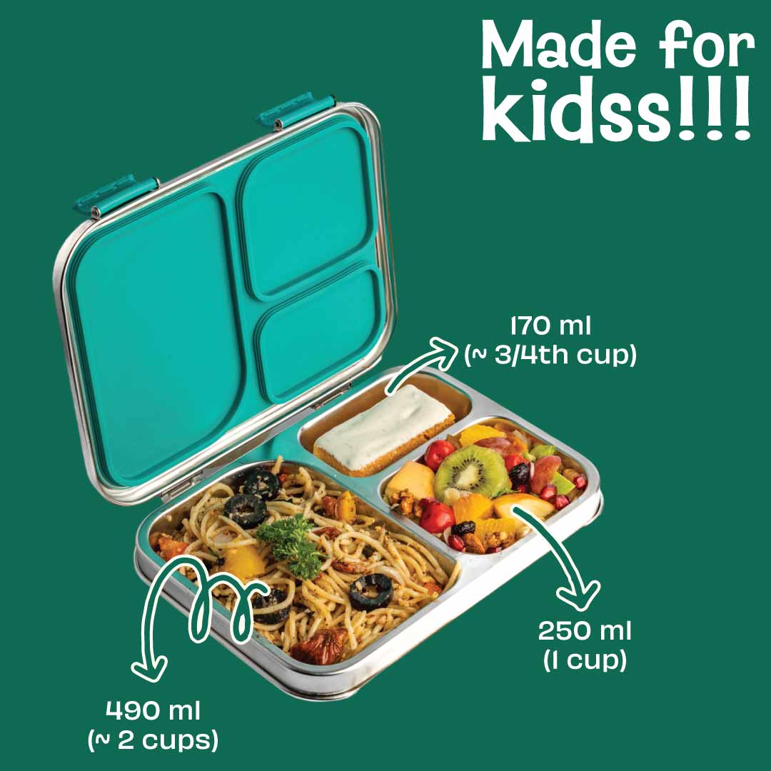 Set of 2: Bento box & Plate - Hocus Docus