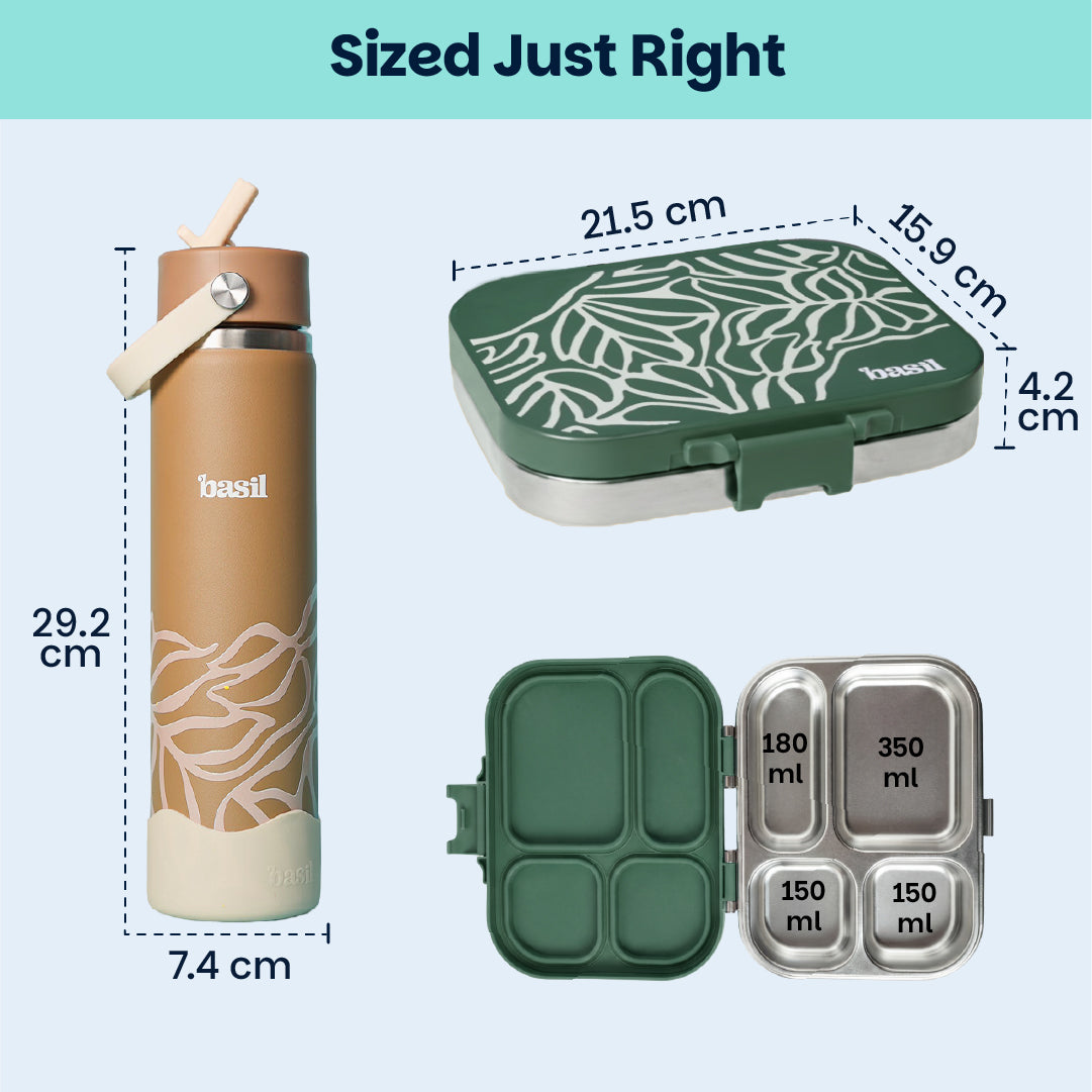 School Combo- Set of Water Bottle and Lunch Box Moss