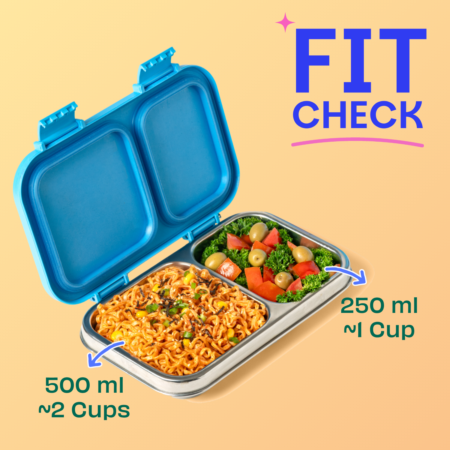 2 Compartment Stainless steel Lunchbox with Plastic Lid - Frosted Flurry