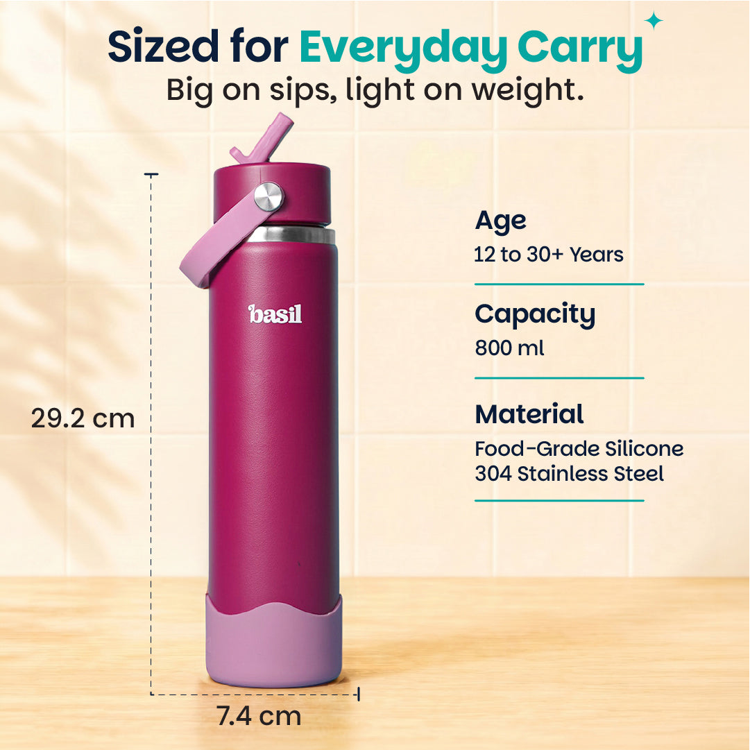 Insulated Stainless steel Sipper with Carry Handle - Classic Plum