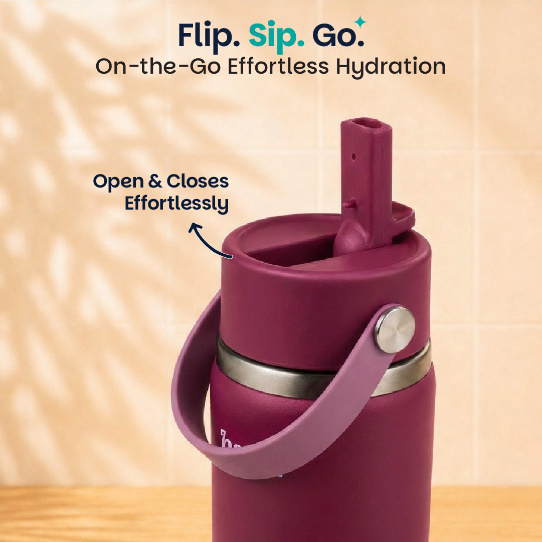 Insulated Stainless steel Sipper with Carry Handle - Classic Plum