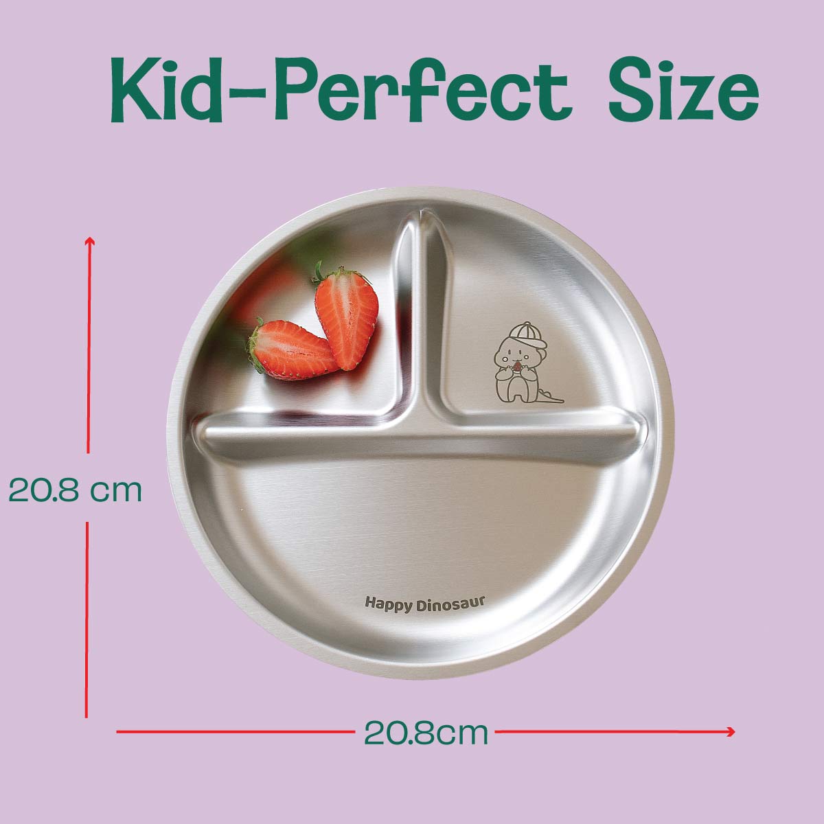 3 Compartment Stainless steel Wheel Plate - Dino