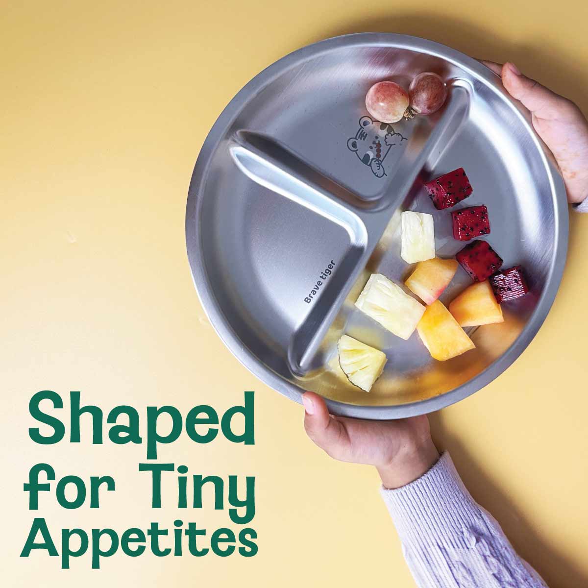 3 Compartment Stainless steel Wheel Plate - Tiger