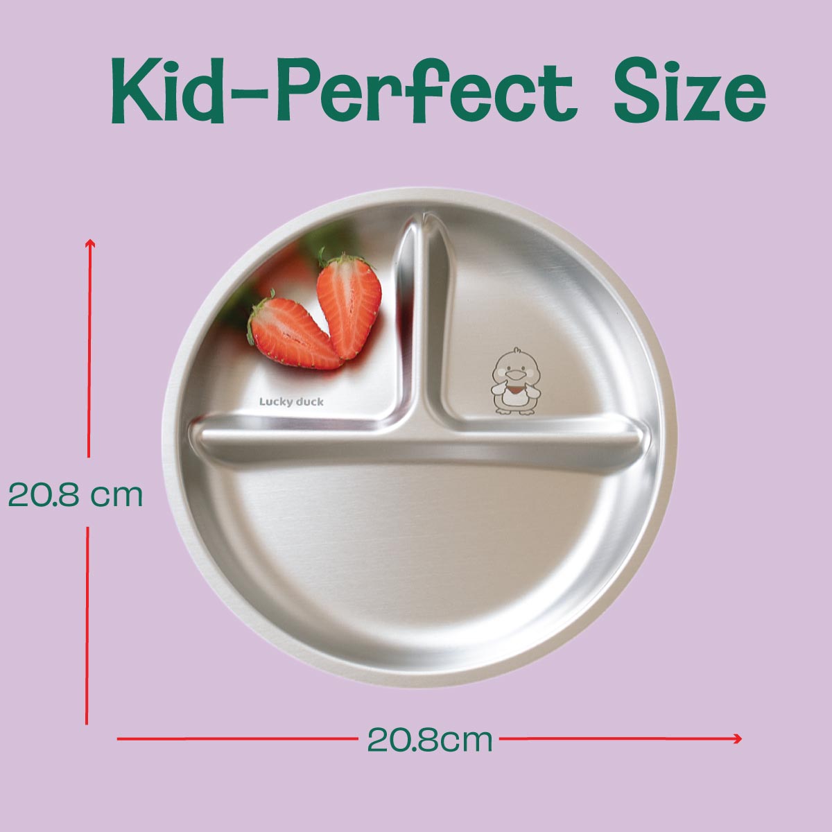 3 Compartment Stainless steel Wheel Plate - Duck