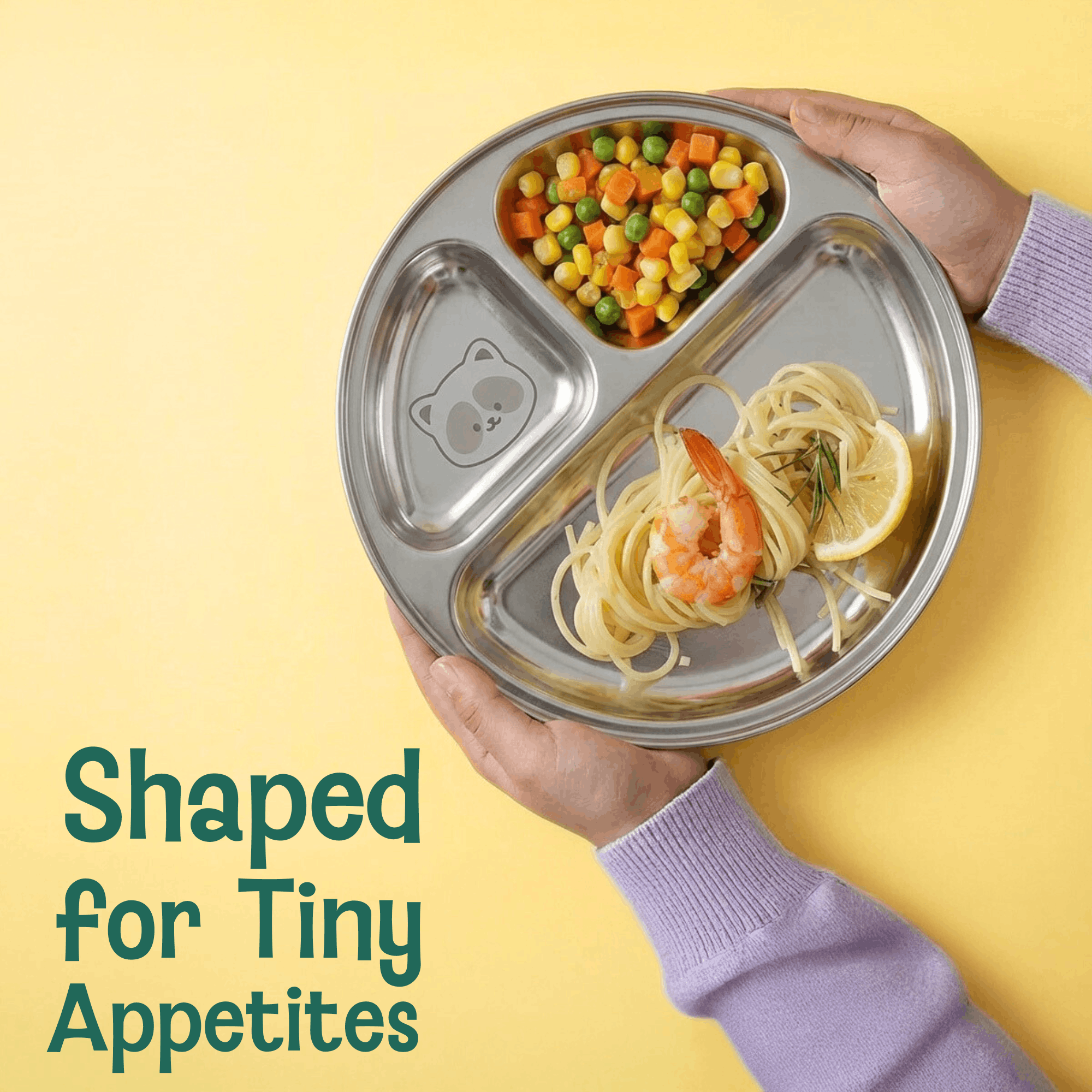 3 Compartment Stainless steel Wheel Plate - Rocky