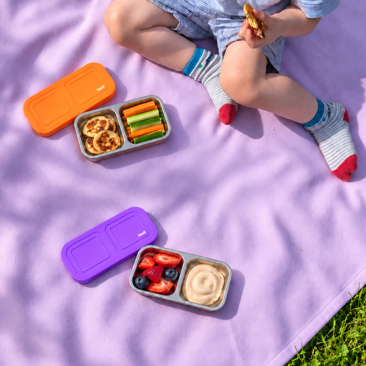 Snack Mate 2 Section Container - Classic Blue