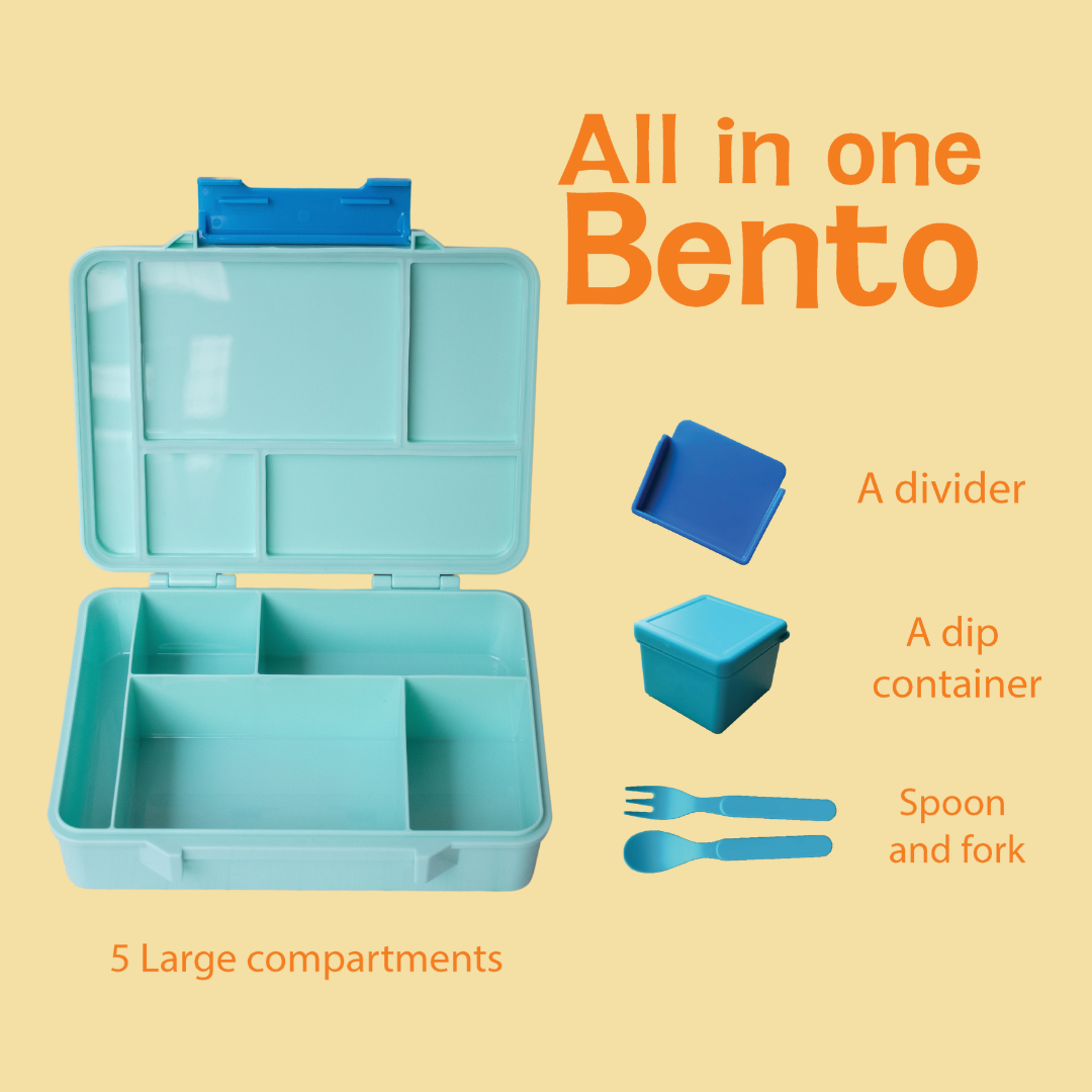 5 Compartment BPA Free Bento box - Aqua Mist