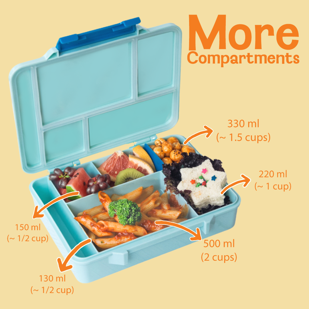 5 Compartment BPA Free Bento box - Aqua Mist