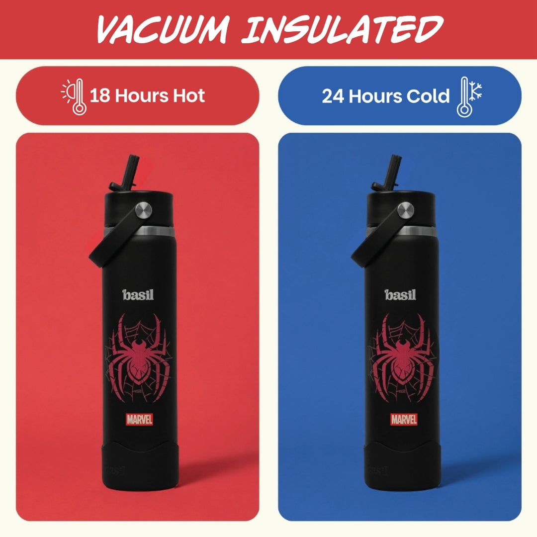 Insulated Stainless steel Sipper with Carry Handle - Phantom Web
