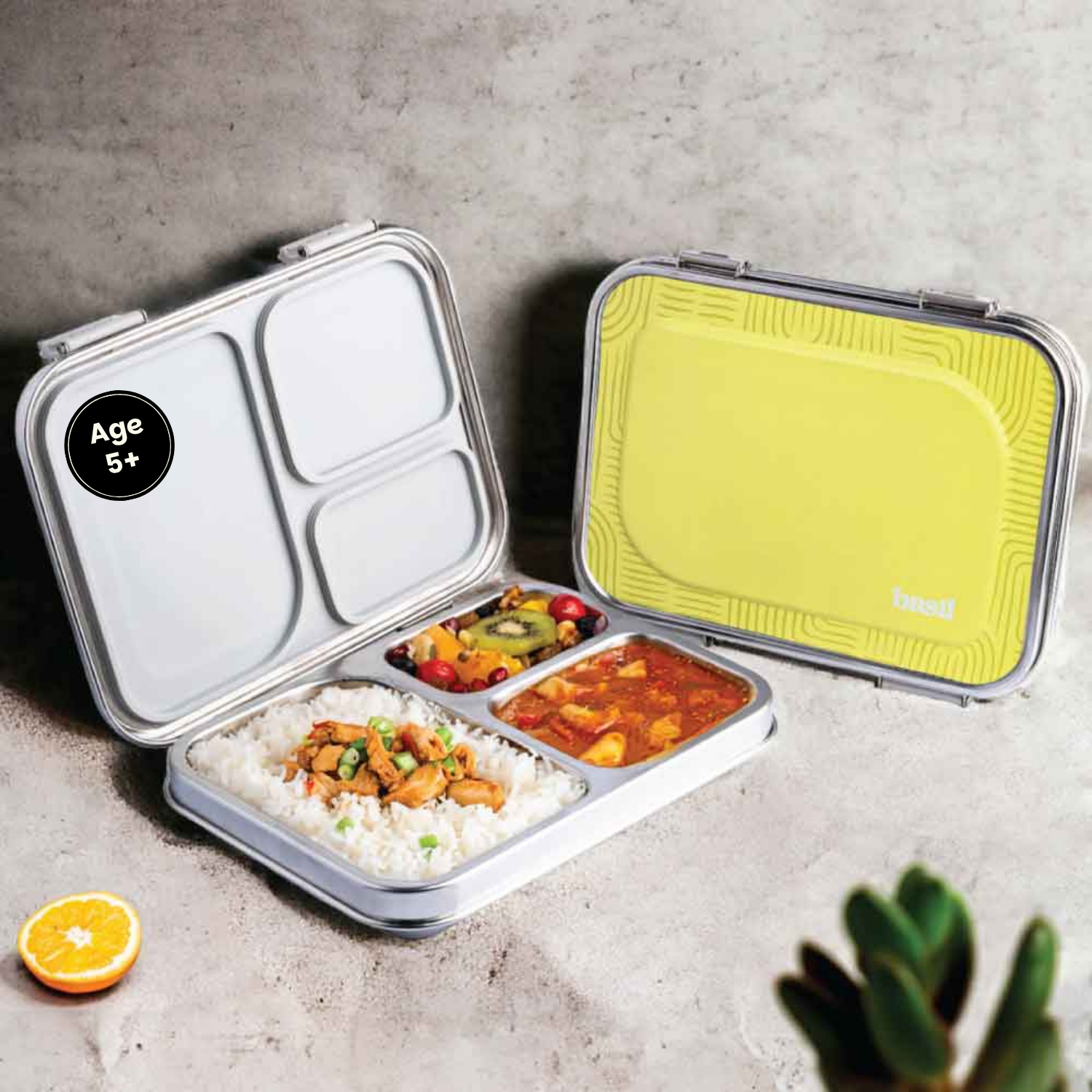 3 Compartment Stainless steel Bento box - Classic Savannah green