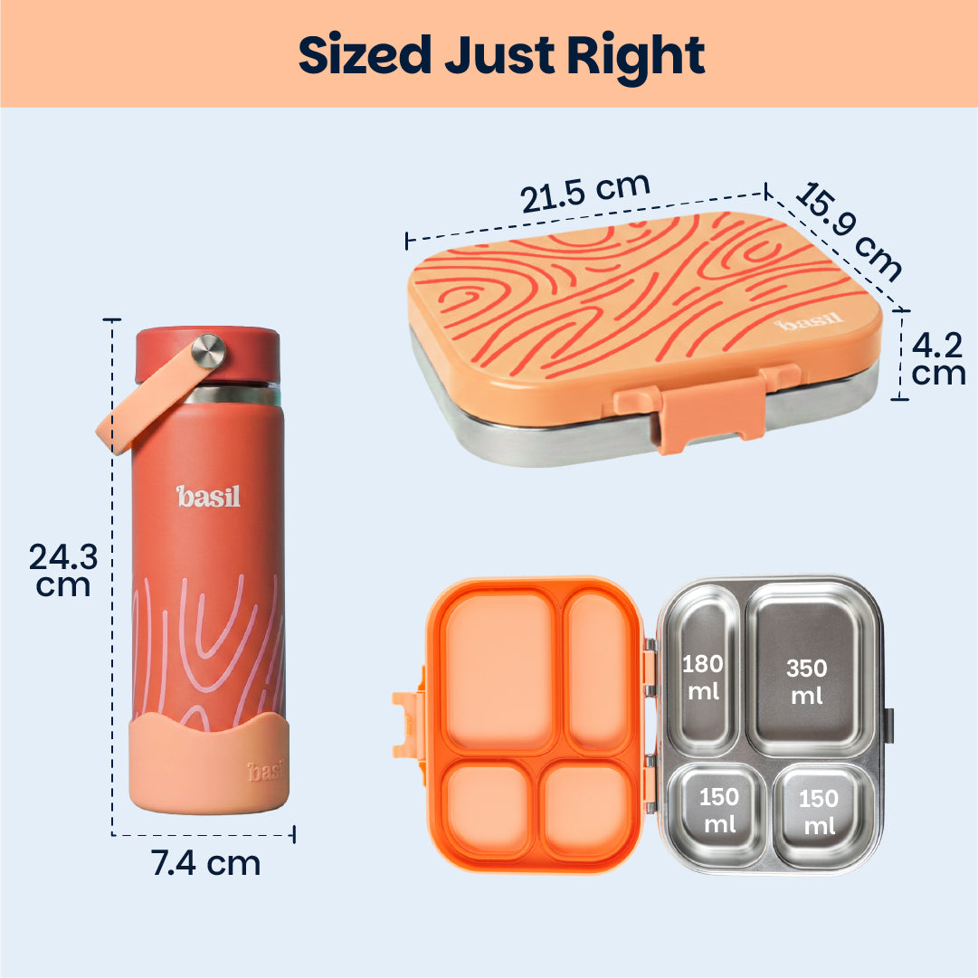 School Combo- Set of Water Bottle and Lunch Box Coral Swirl