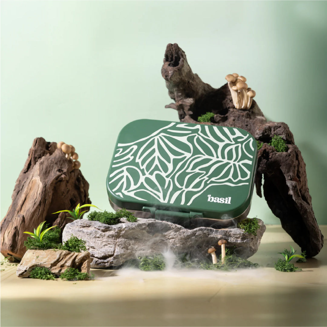 School Combo- Set of Water Bottle and Lunch Box Moss