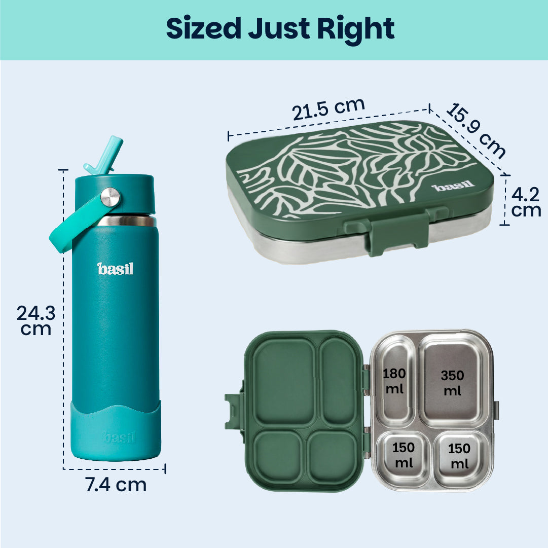 School Combo- Set of Water Bottle and Lunch Box Jade