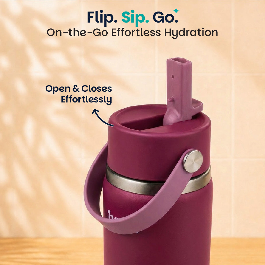 Insulated Stainless steel Sipper with Carry Handle - Classic Plum