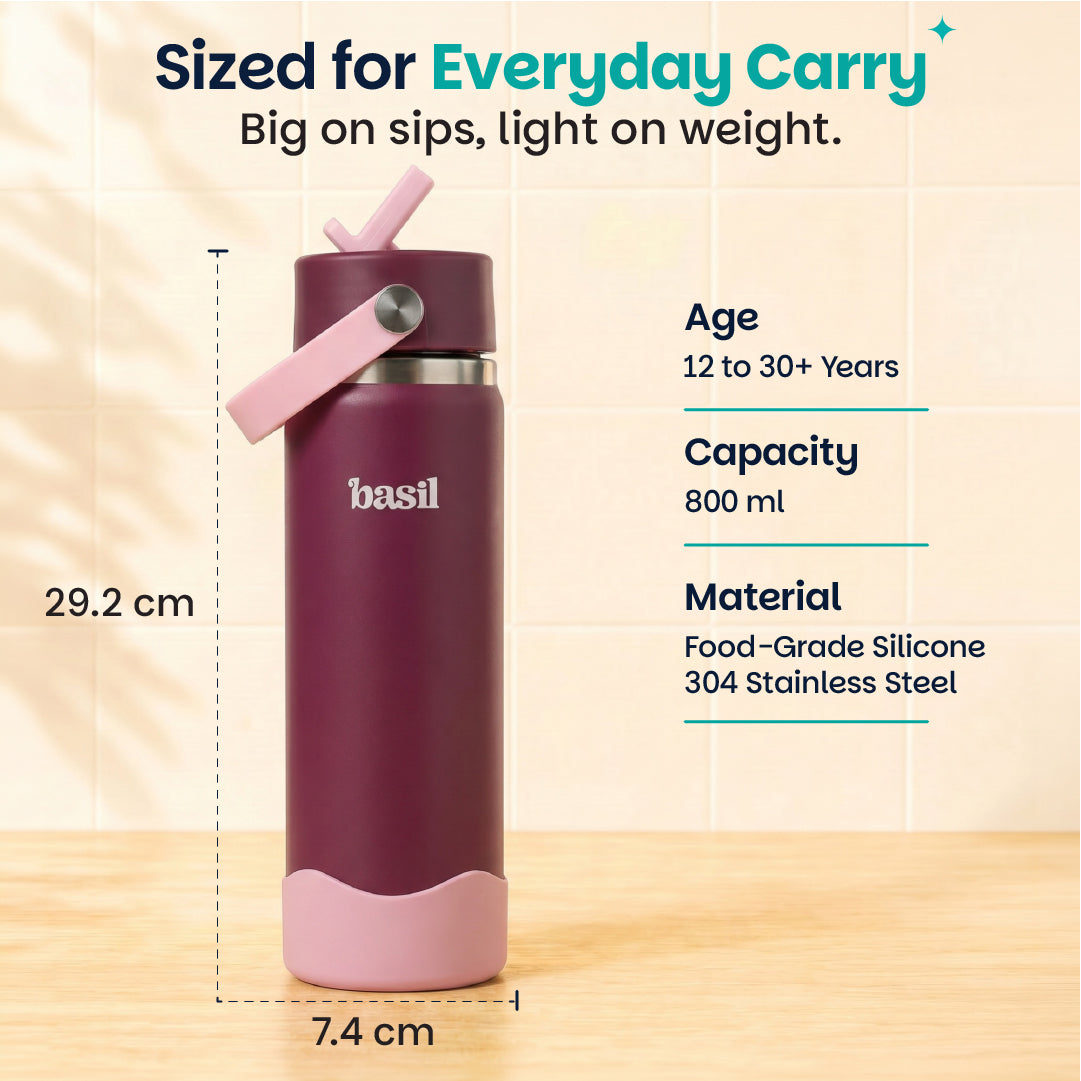 Insulated Stainless steel Sipper with Carry Handle - Classic Plum