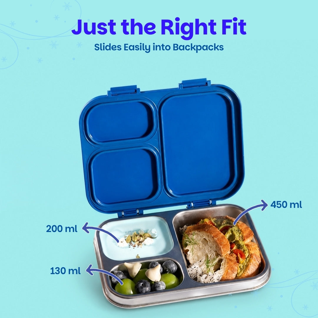 3 Compartment Stainless Steel Lunchbox with Plastic Lid - Winter Whirl