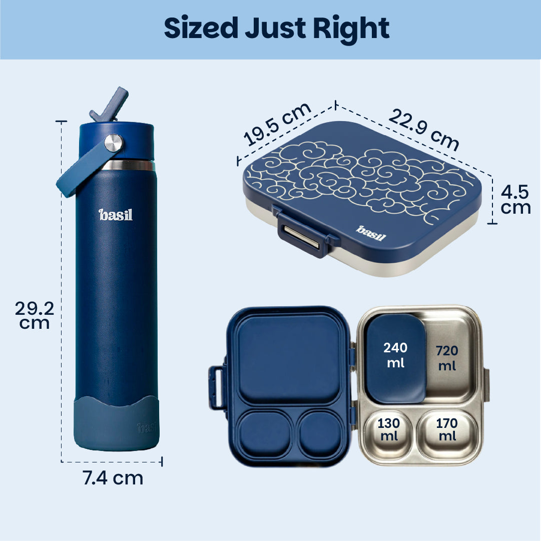 School Combo- Set of Water Bottle and Lunch Box Sora
