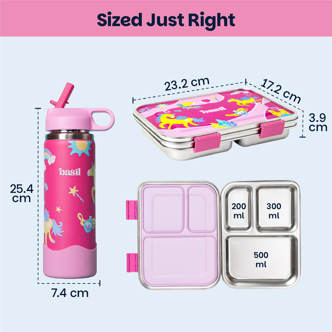 School Combo- Set of Water Bottle and Lunch Box Pixie Dash