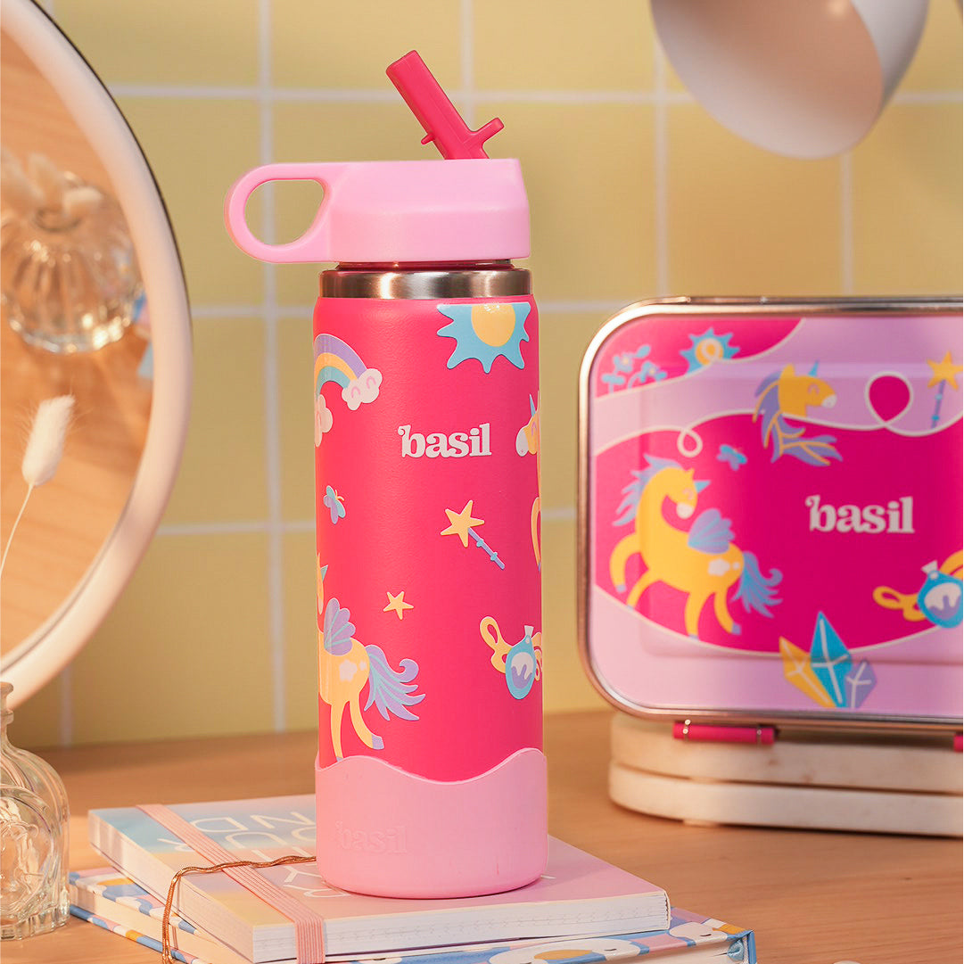 School Combo- Set of Water Bottle and Lunch Box Pixie Dash