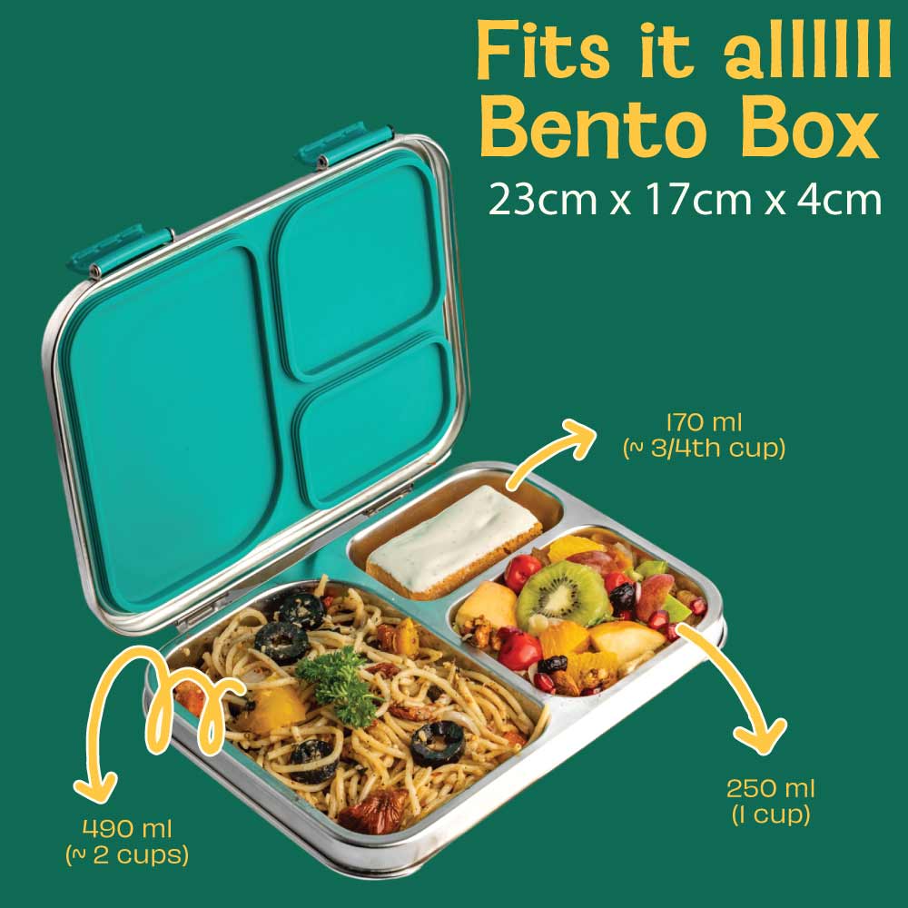 3 Compartment Stainless steel Bento box - Hocus Docus