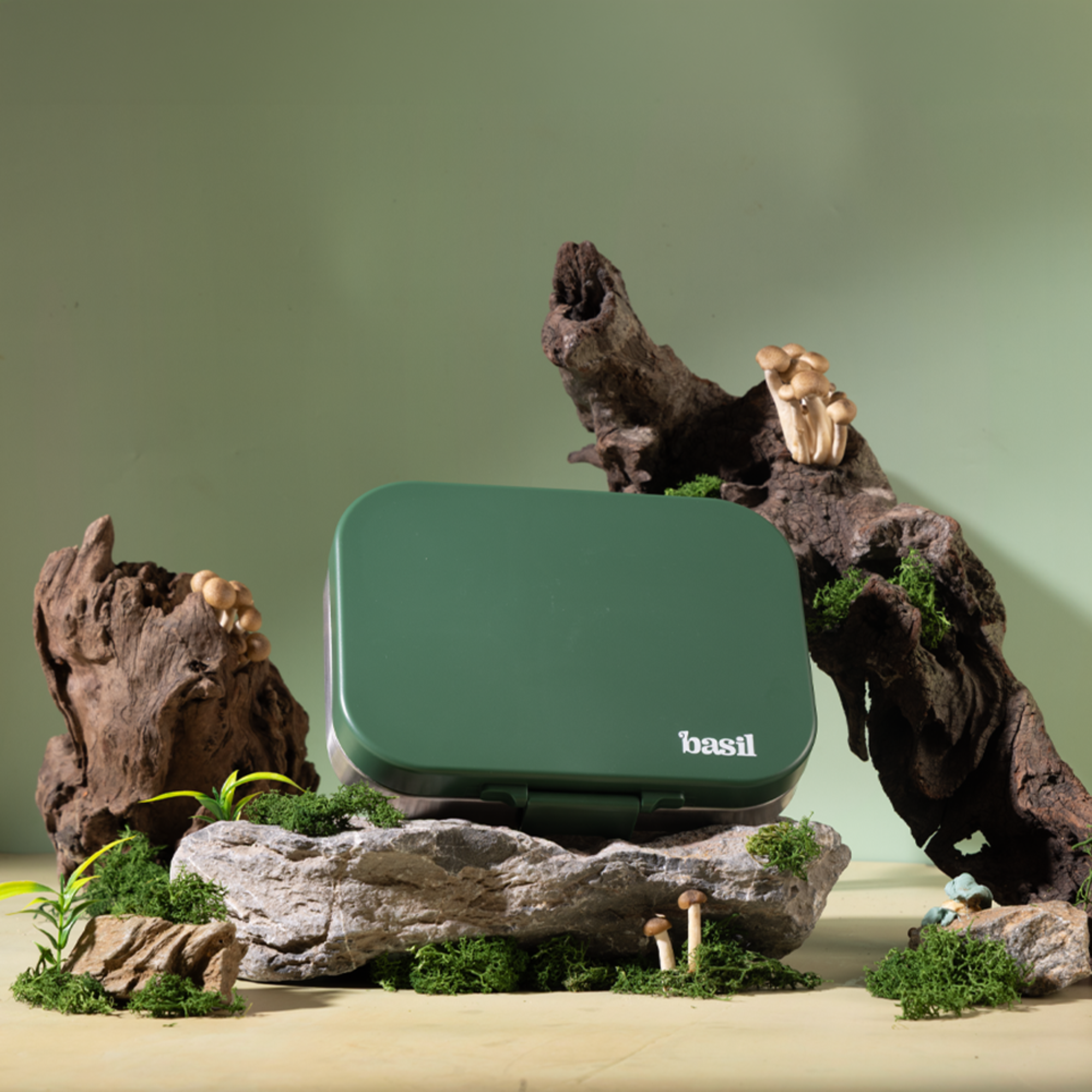 4 Compartment Stainless steel Lunchbox with Plastic lid - Wild Wood